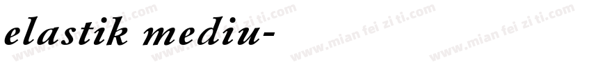 elastik mediu字体转换